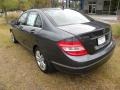 Steel Grey Metallic - C 300 Luxury Photo No. 16