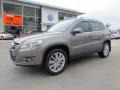 Alpine Grey Metallic - Tiguan SEL Photo No. 1