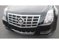 Black Raven - CTS 3.0 Sedan Photo No. 9