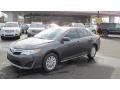 Magnetic Gray Metallic - Camry LE Photo No. 1