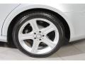 Iridium Silver Metallic - CLS 550 Photo No. 28