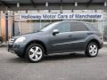 2010 Steel Grey Metallic Mercedes-Benz ML 350 4Matic  photo #1