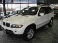 Alpine White - X5 3.0i Photo No. 1