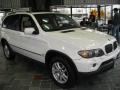 Alpine White - X5 3.0i Photo No. 3