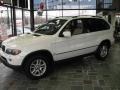 Alpine White - X5 3.0i Photo No. 4