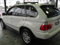 Alpine White - X5 3.0i Photo No. 5