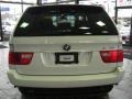 Alpine White - X5 3.0i Photo No. 6