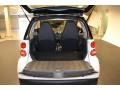 2010 Crystal White Smart fortwo passion coupe  photo #10