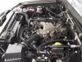 3.3 Liter SOHC 12-Valve V6 2004 Nissan Xterra XE 4x4 Engine
