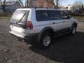 Munich Silver Metallic - Montero Sport XLS 4x4 Photo No. 6
