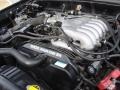  2004 Tacoma V6 PreRunner TRD Double Cab 3.4L DOHC 24V V6 Engine