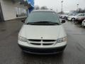 Light Cypress Green Pearl - Grand Caravan SE Photo No. 8