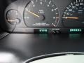 1999 Light Cypress Green Pearl Dodge Grand Caravan SE  photo #18