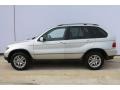 Titanium Silver Metallic - X5 3.0i Photo No. 9