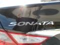 Midnight Black - Sonata GLS Photo No. 13