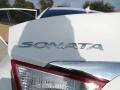 Shimmering White - Sonata GLS Photo No. 15