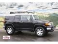 Black Diamond - FJ Cruiser 4WD Photo No. 1