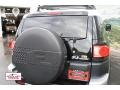 Black Diamond - FJ Cruiser 4WD Photo No. 19