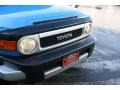Voodoo Blue - FJ Cruiser 4WD Photo No. 22
