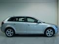 Light Silver Metallic - A3 2.0T Photo No. 3