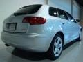 Light Silver Metallic - A3 2.0T Photo No. 4
