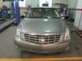 2010 Tuscan Bronze ChromaFlair Cadillac DTS   photo #2