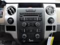 Pale Adobe Controls Photo for 2012 Ford F150 #58549748