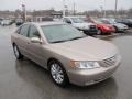 2007 Golden Beige Metallic Hyundai Azera Limited  photo #10