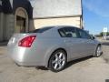 Liquid Silver Metallic - Maxima 3.5 SL Photo No. 3