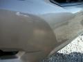 Sandy Beach Metallic - Highlander V6 Photo No. 21