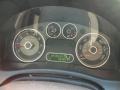 Camel Gauges Photo for 2009 Ford Taurus X #58560395