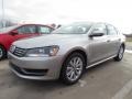 2012 Tungsten Silver Metallic Volkswagen Passat 2.5L SEL  photo #1