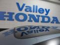 2010 Glacier Blue Metallic Honda CR-V EX  photo #6