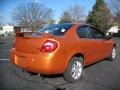 2005 Orange Blast Pearlcoat Dodge Neon SXT  photo #7