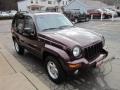 2004 Deep Molten Red Pearl Jeep Liberty Limited 4x4  photo #6