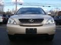 Savannah Metallic - RX 350 AWD Photo No. 2