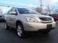 Savannah Metallic - RX 350 AWD Photo No. 3