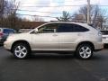 Savannah Metallic - RX 350 AWD Photo No. 7