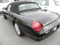 Evening Black - Thunderbird Deluxe Roadster Photo No. 9