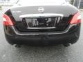 Crimson Black - Maxima 3.5 SV Photo No. 20