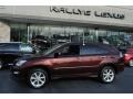 2008 Brandywine Mica Lexus RX 350 AWD  photo #3