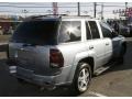 Silver Blue Metallic - TrailBlazer LS 4x4 Photo No. 5