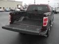 2010 Royal Red Metallic Ford F150 XLT SuperCrew  photo #18