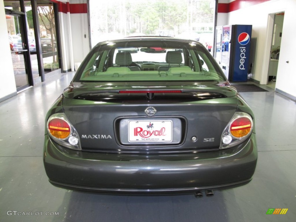2003 Maxima SE - Gray Lustre / Frost photo #3