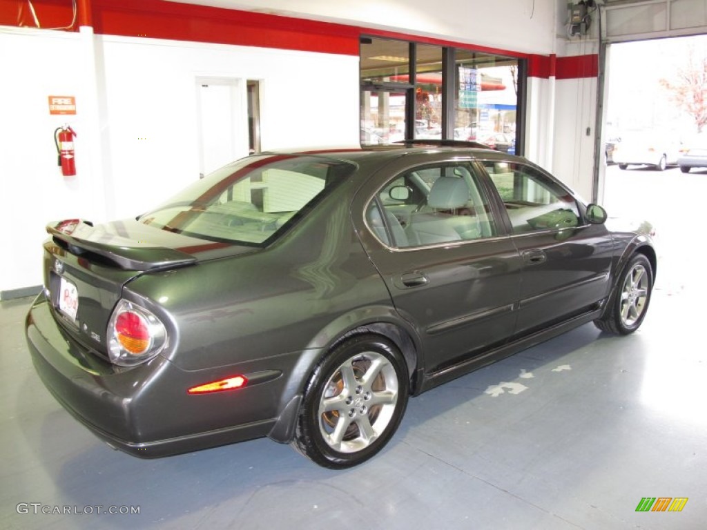 2003 Maxima SE - Gray Lustre / Frost photo #4