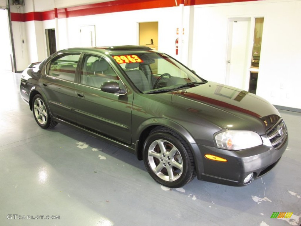 2003 Maxima SE - Gray Lustre / Frost photo #5
