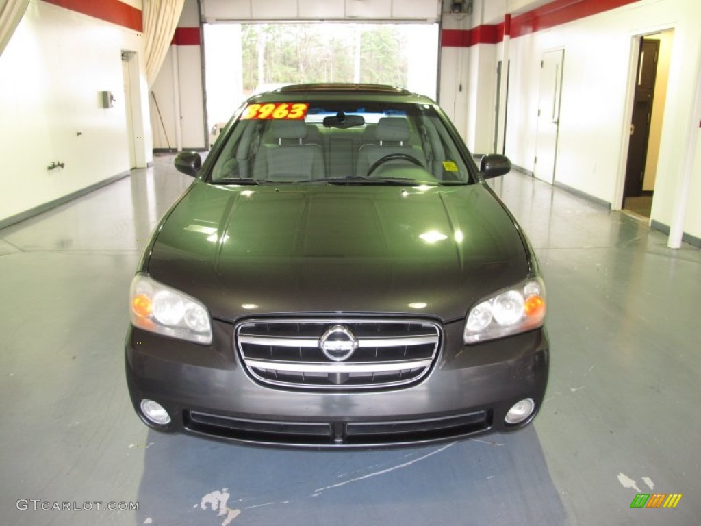 2003 Maxima SE - Gray Lustre / Frost photo #6