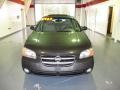2003 Gray Lustre Nissan Maxima SE  photo #6