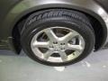 2003 Gray Lustre Nissan Maxima SE  photo #7