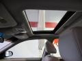 2003 Gray Lustre Nissan Maxima SE  photo #19